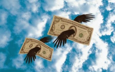 Lo barato sale caro. La productividad, una nueva variable del ahorro.